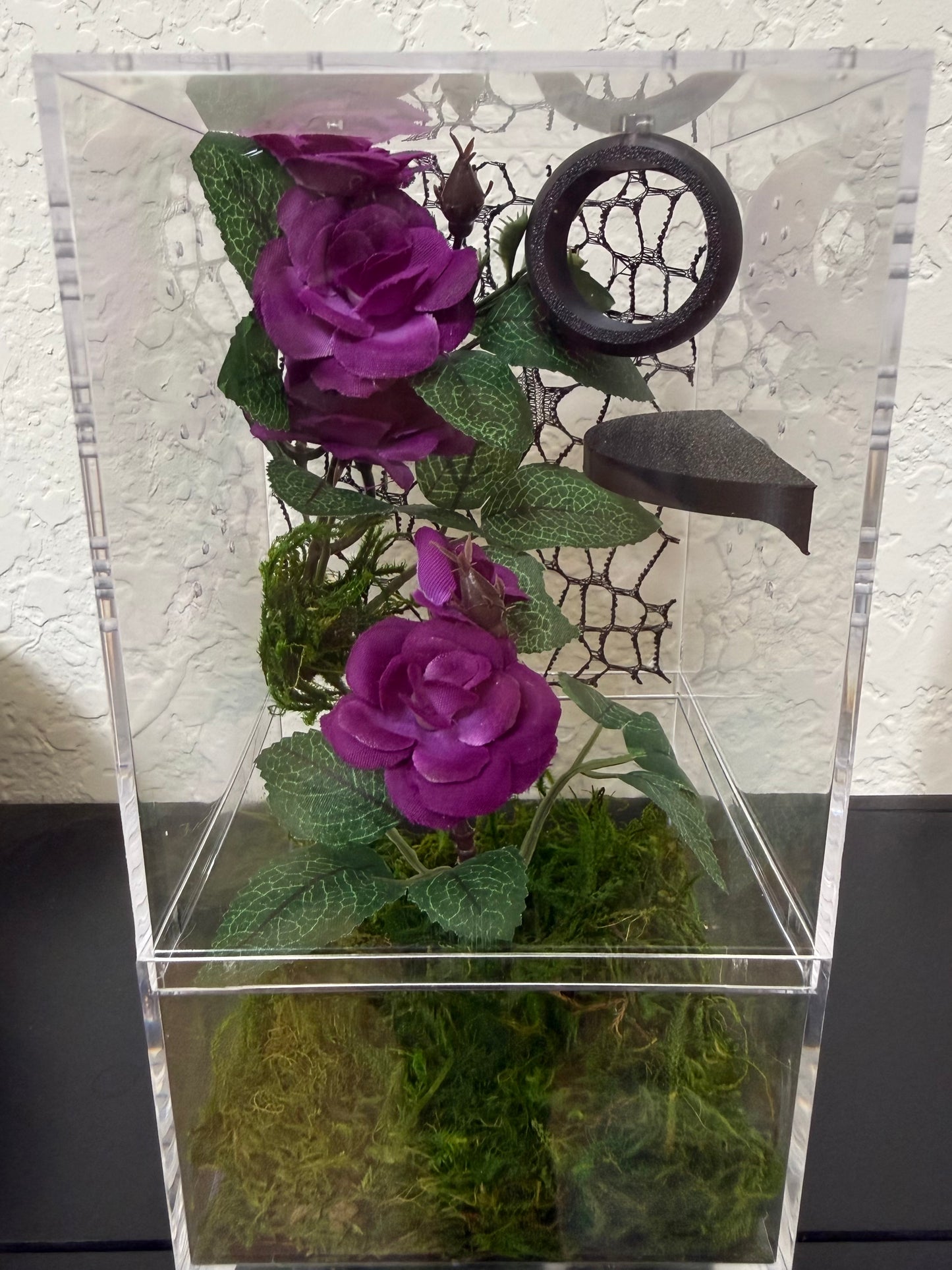 Spider Enclosure with Purple Roses and Black Decorations