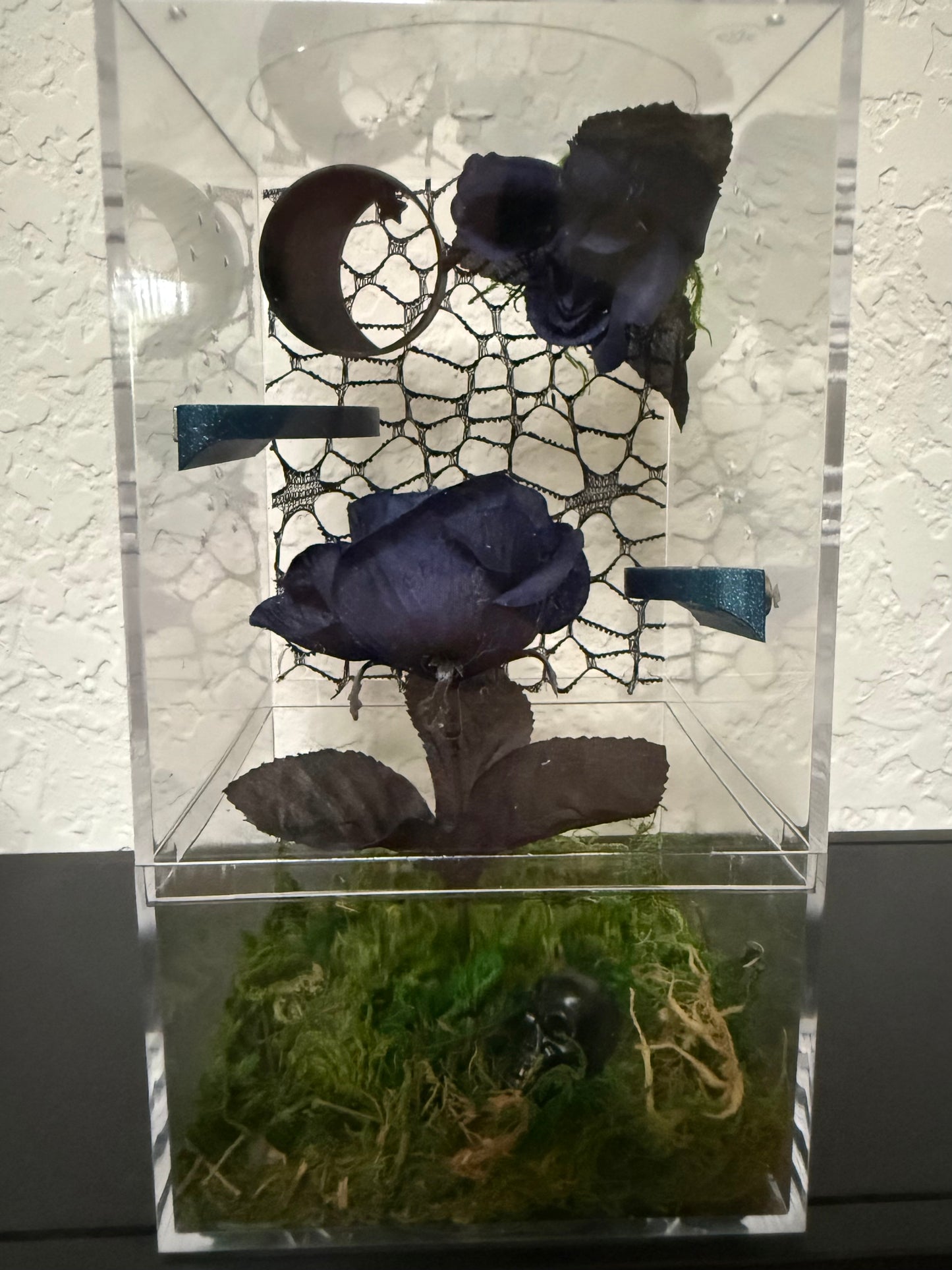 Spider Enclosure with Dark Blue Roses Theme
