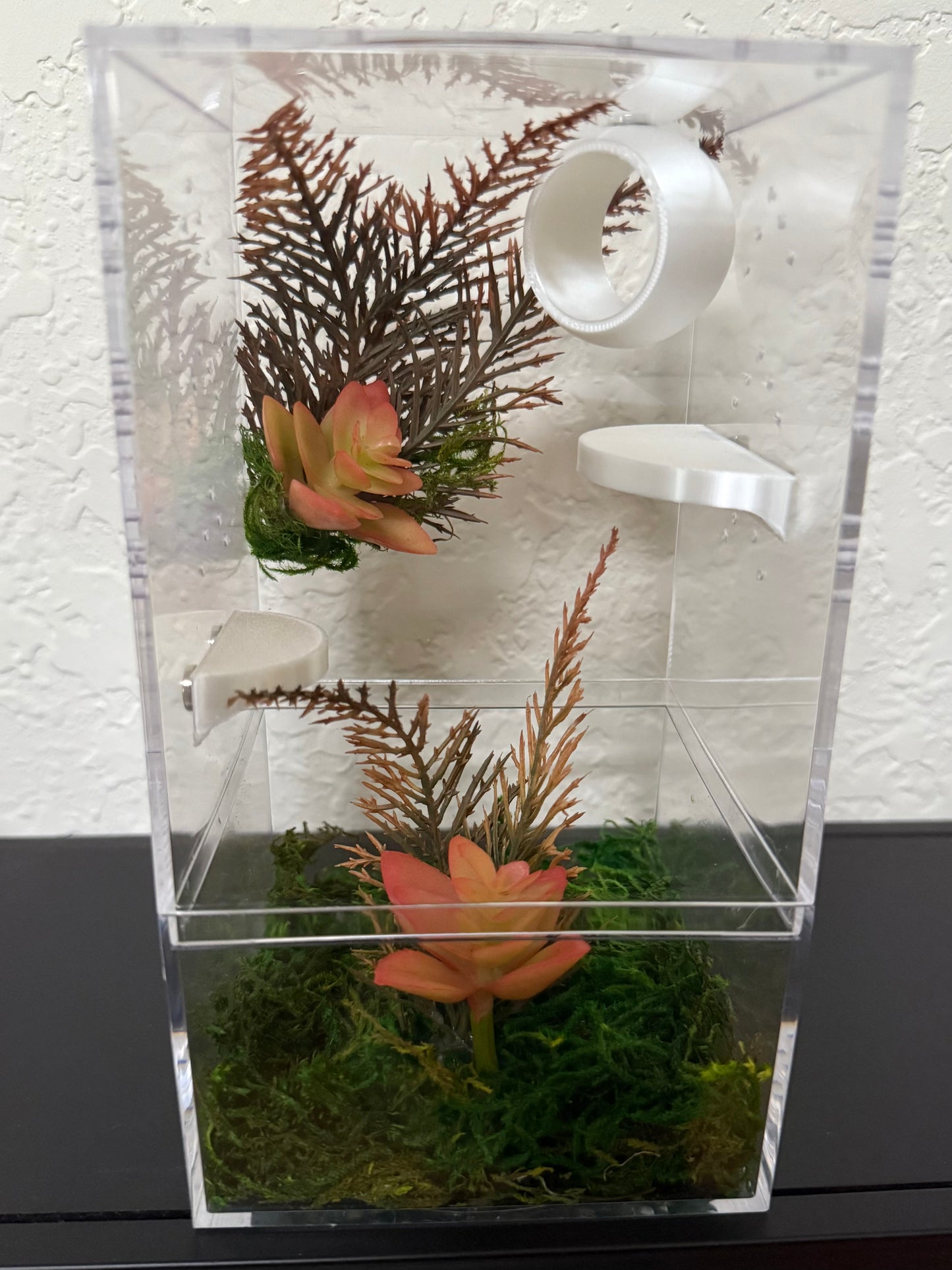 Spider Enclosure with Bright Orange Flowers and White Decor