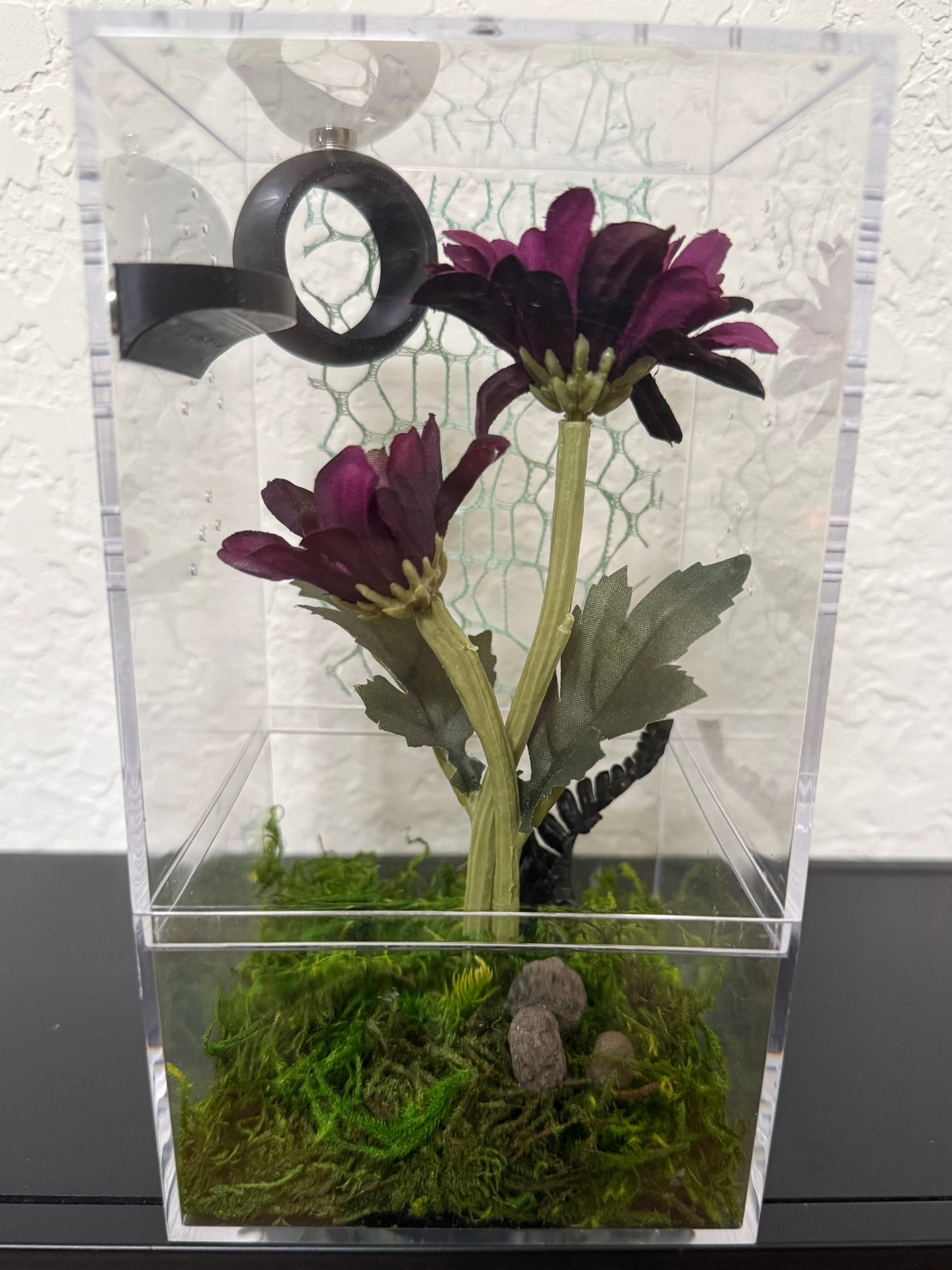Spider Enclosure with Purple Flowers and Black Hide