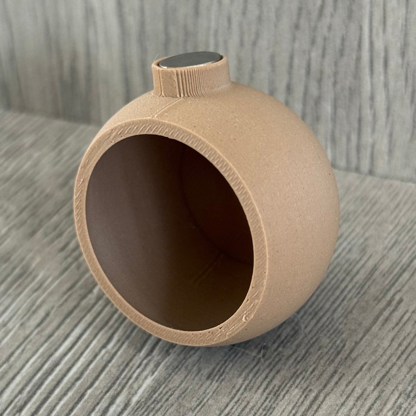 Wood colored jumping spider hide