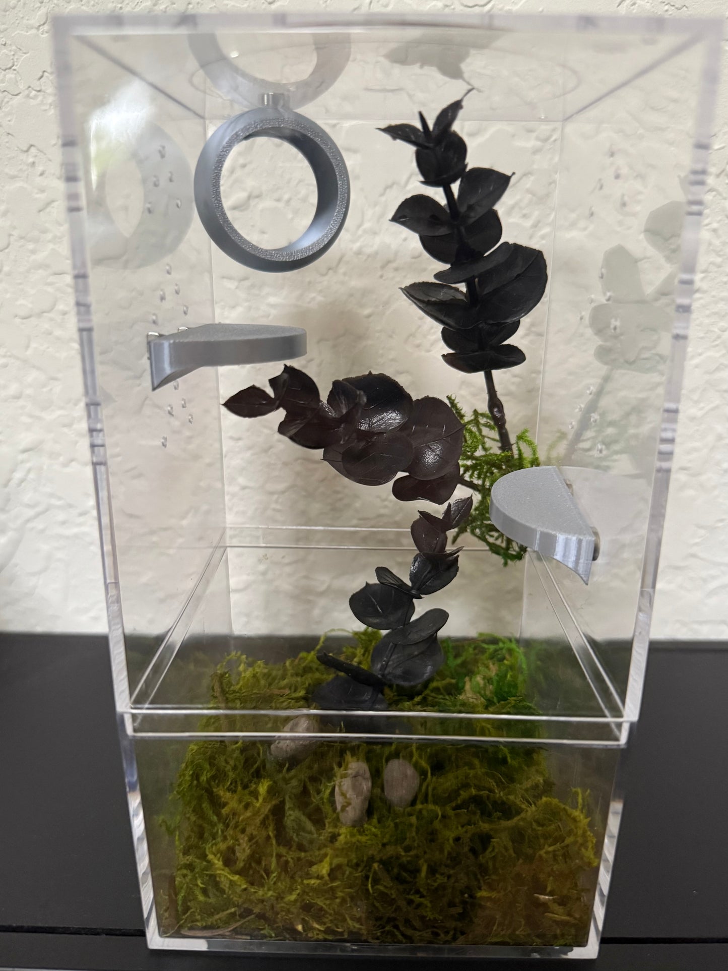Spider Enclosure with Silver and Black Theme
