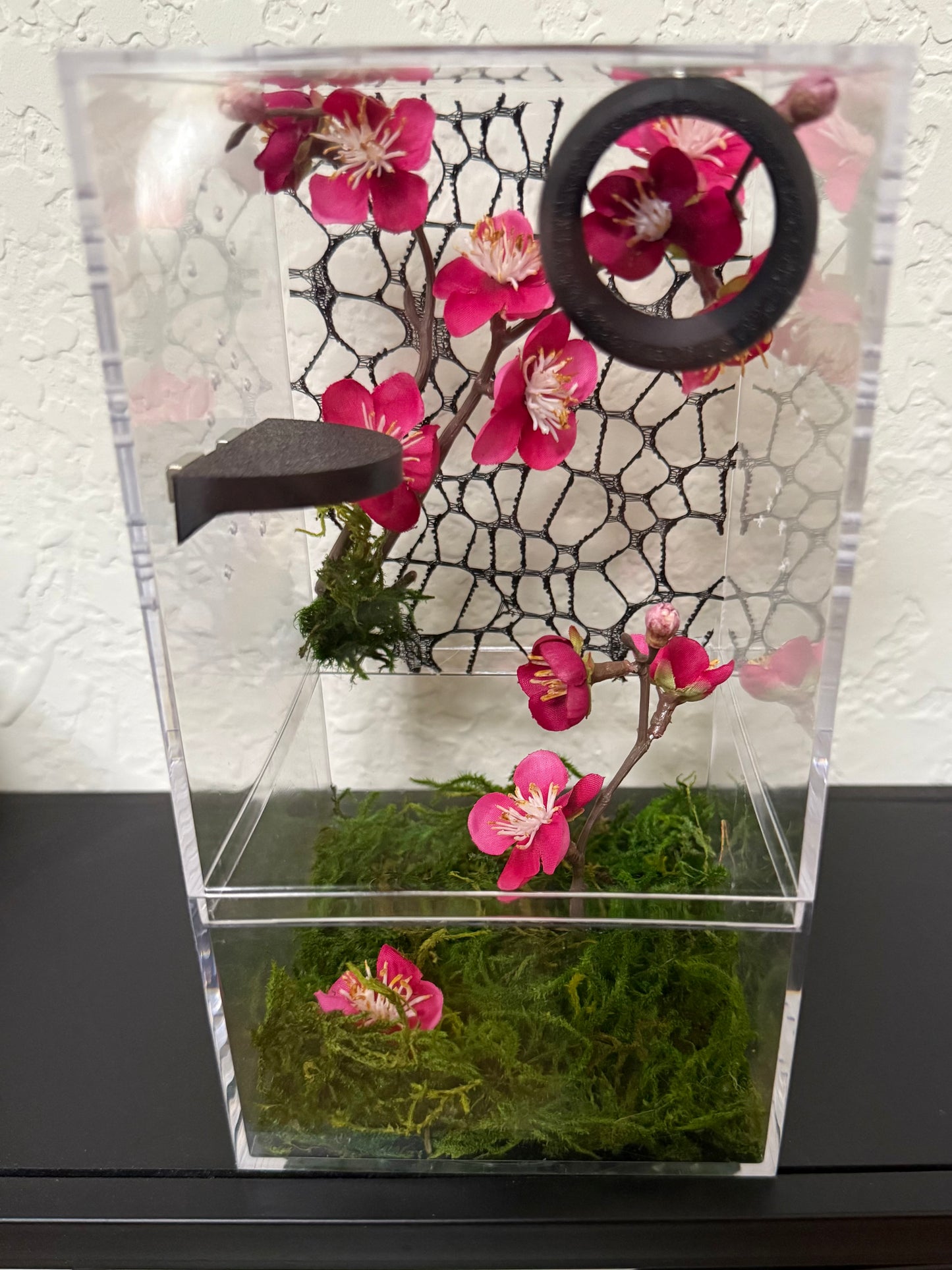 Spider Enclosure with Cherry Blossoms and Black Decor