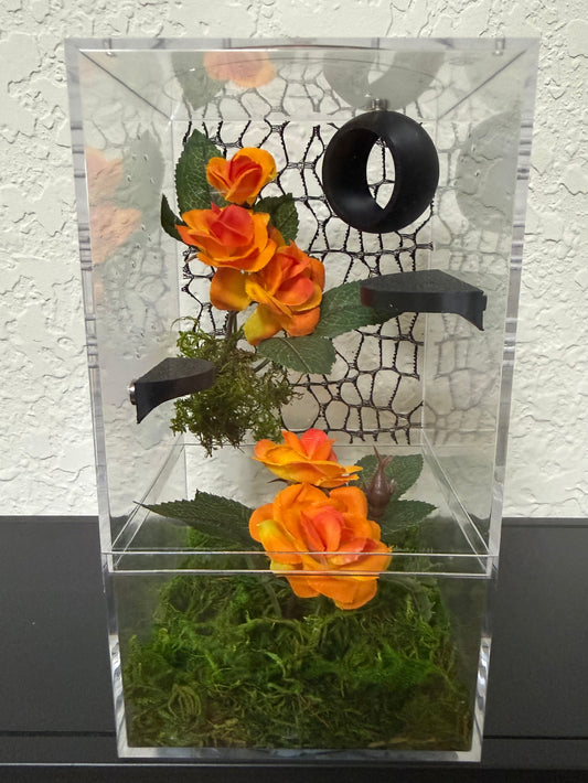 Spider Enclosure with Orange Flowers