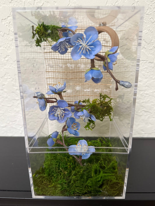 Spider Enclosure with Blue Flowers and Tan Decor