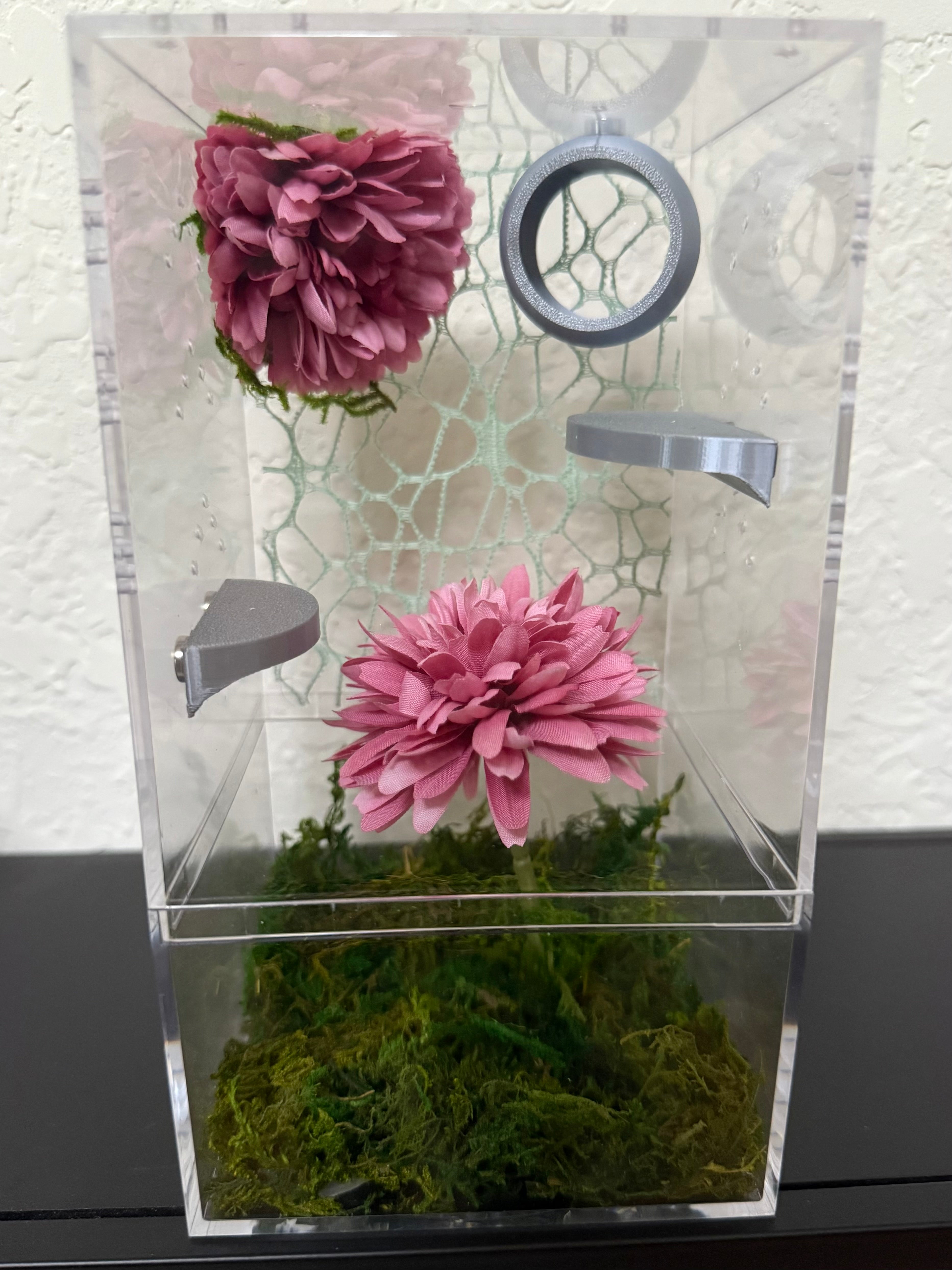 Spider Enclosure with Pink Flowers and Cool Colors – Adara Arachnids