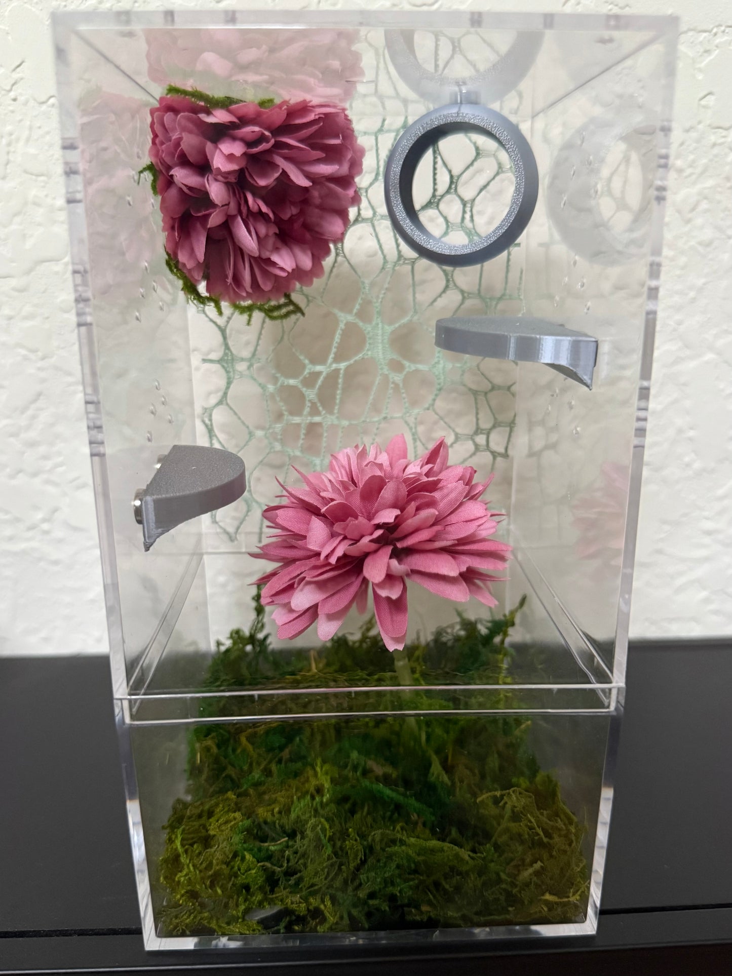 Spider Enclosure with Pink Flowers and Cool Colors