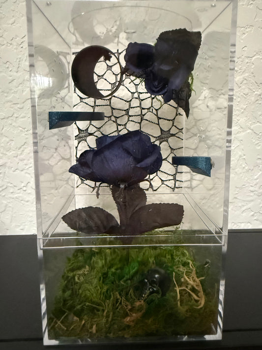 Spider Enclosure with Dark Blue Roses Theme