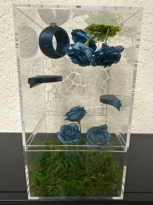Spider Enclosure with Blue Flowers and Shelves