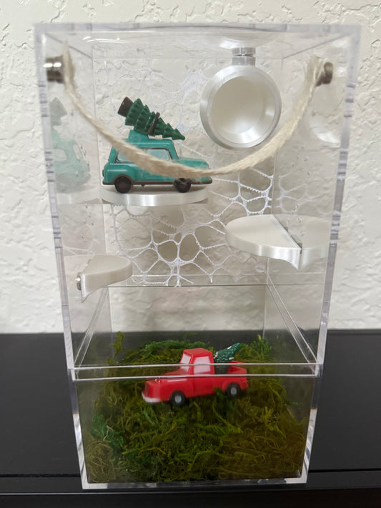 Spider Enclosure with Winter Trucks with Trees