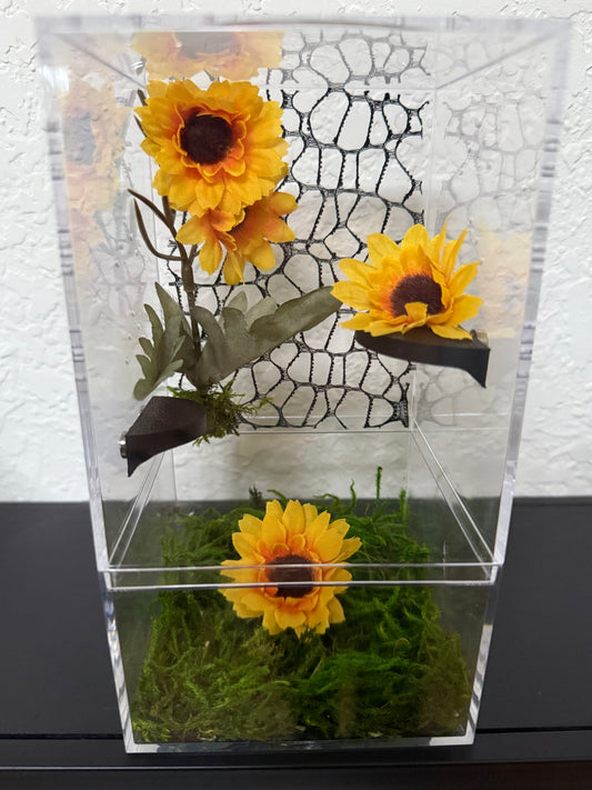 Spider Enclosure with Yellow Sunflowers