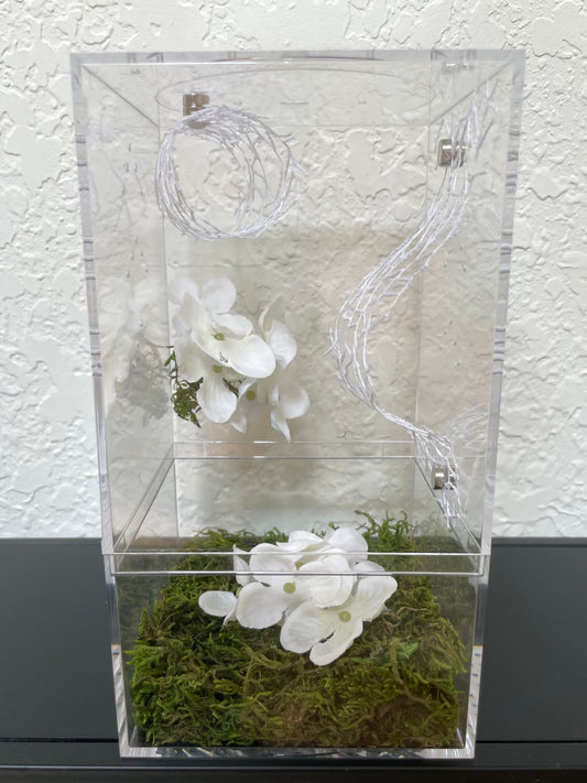 Spider Enclosure with Web-lace and White Flowers