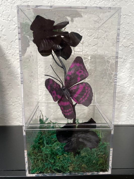 Spider Enclosure with Purple Butterfly and Black Flowers