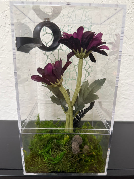 Spider Enclosure with Purple Flowers and Black Hide