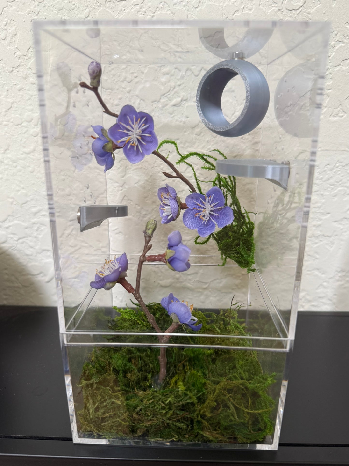 Spider Enclosure with Lilac Flowers and Silver Decor