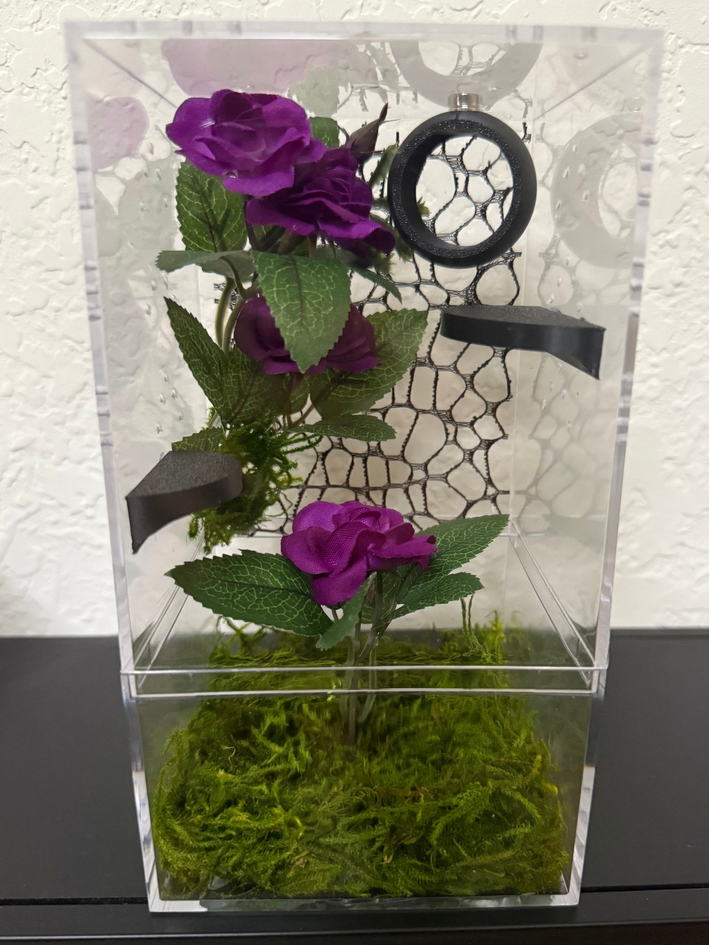 Spider Enclosure with Black and Purple Decor