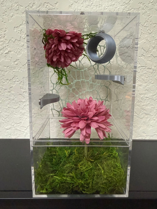 Spider Enclosure with Pink Flowers and Cool Color Scheme