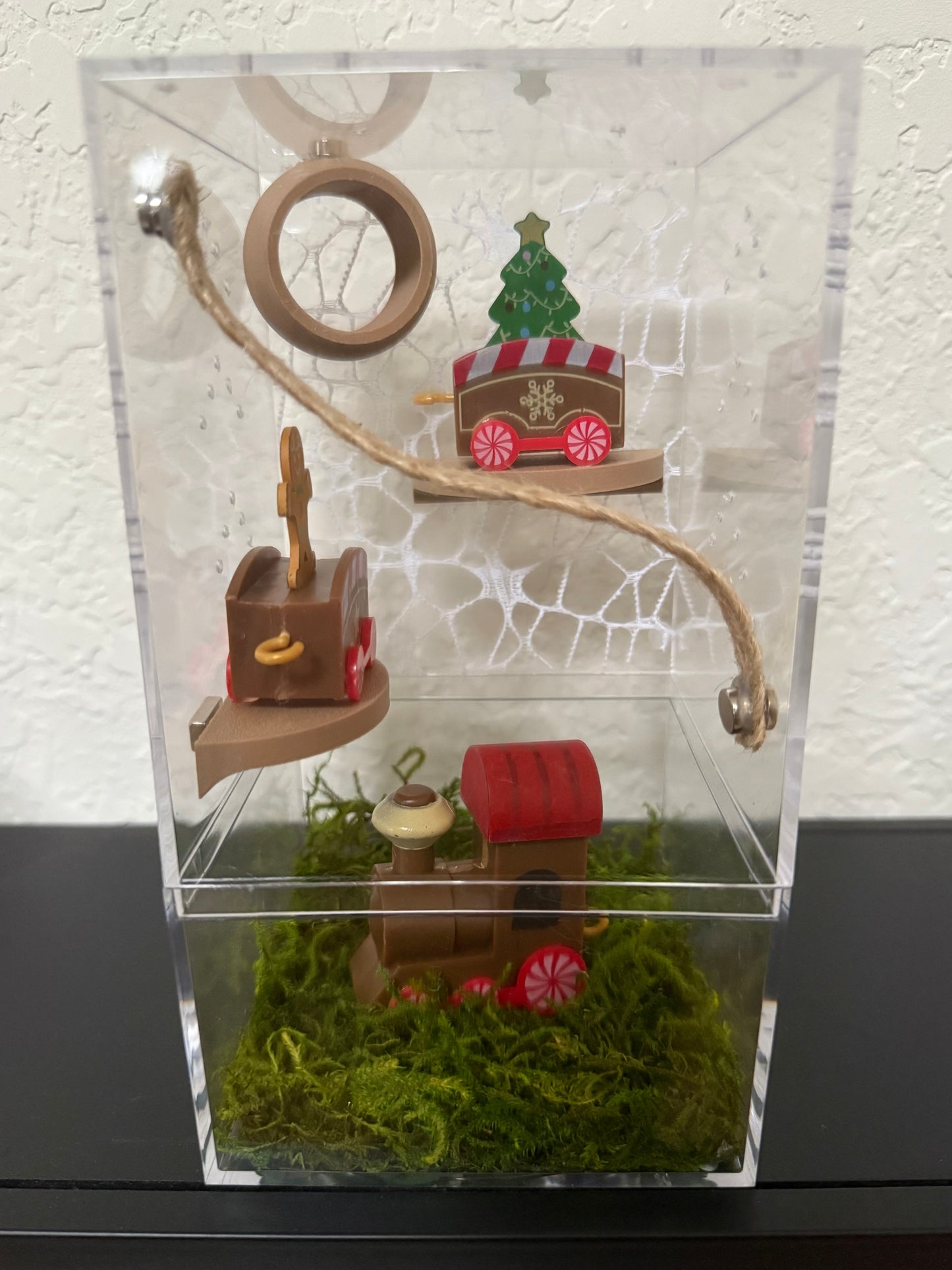 Spider Enclosure with Christmas Toy Train