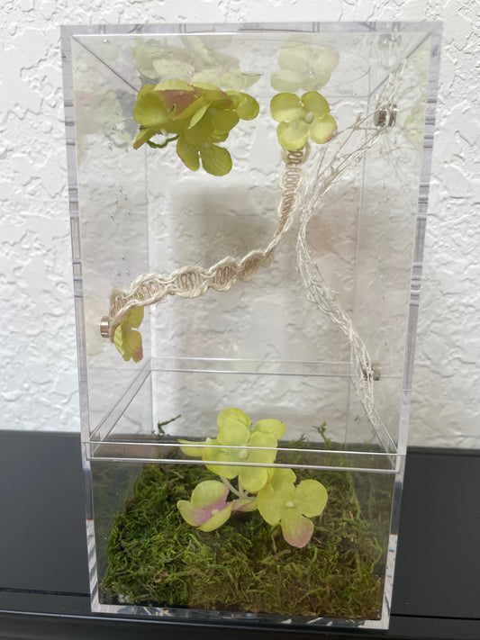 Spider Enclosure with Green Flowers and Ribbon
