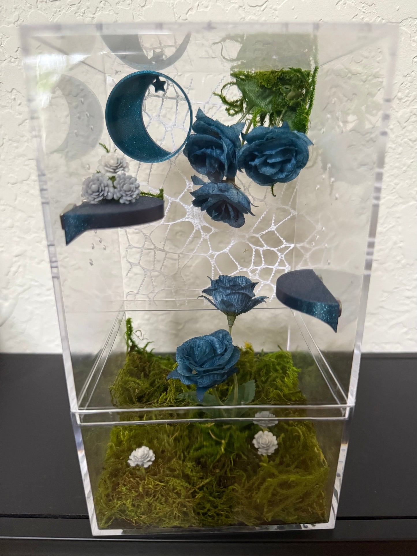 Spider Enclosure with Blue Flowers and Decor