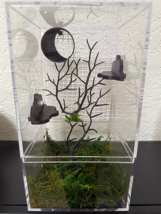 Spider Enclosure with Black Moon hide and Black Cloud Shelves