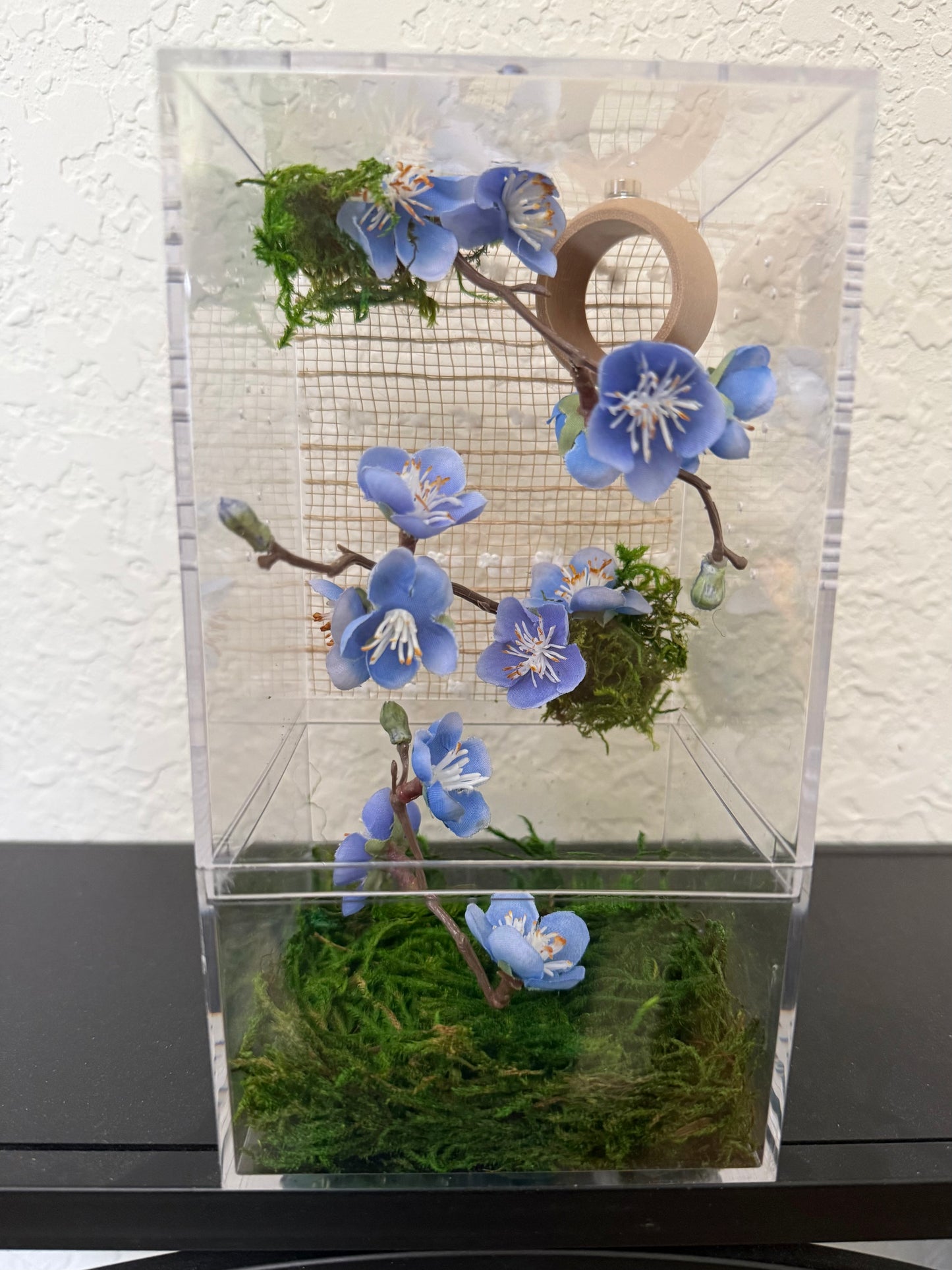 Spider Enclosure with Blue Flowers and Beige Decor