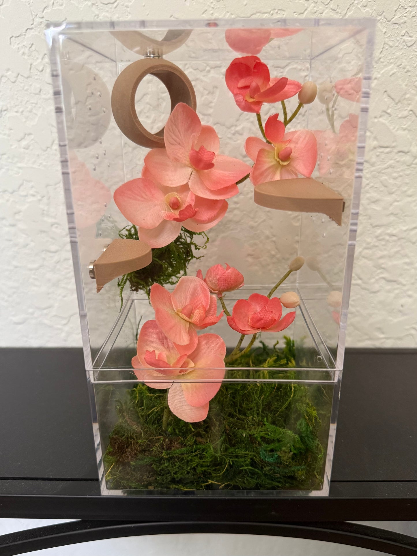 Spider Enclosure with Peach Orchids and Tan Decor