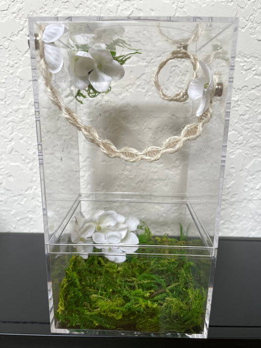 Spider Enclosure with White Flowers