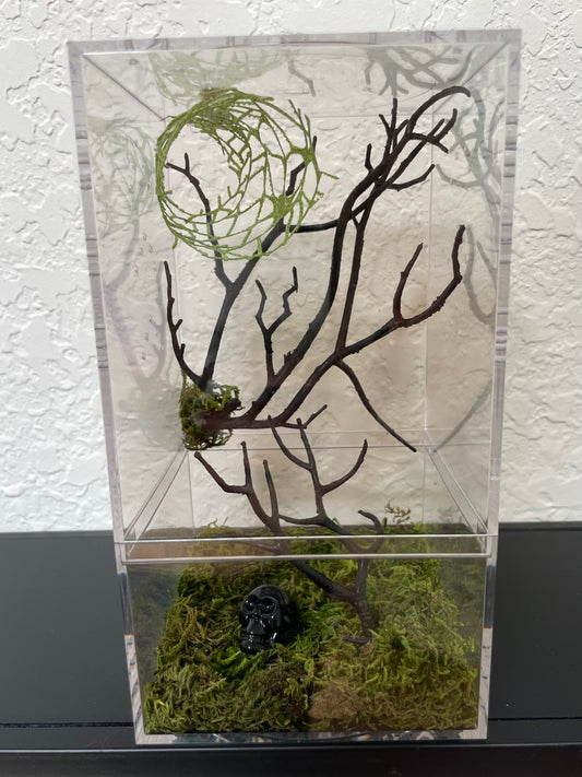 Spider Enclosure with Black Branches and Skull