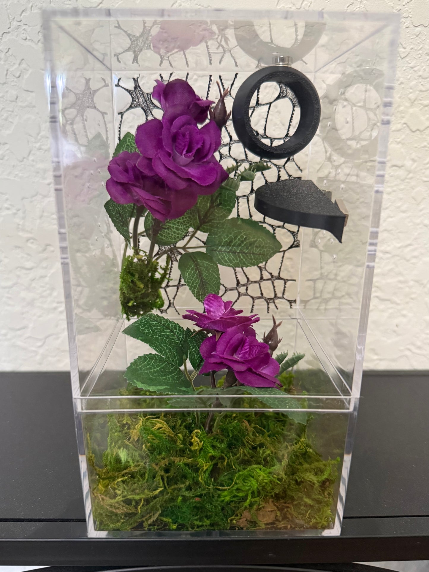 Spider Enclosure with Purple Flowers and Black Background Web