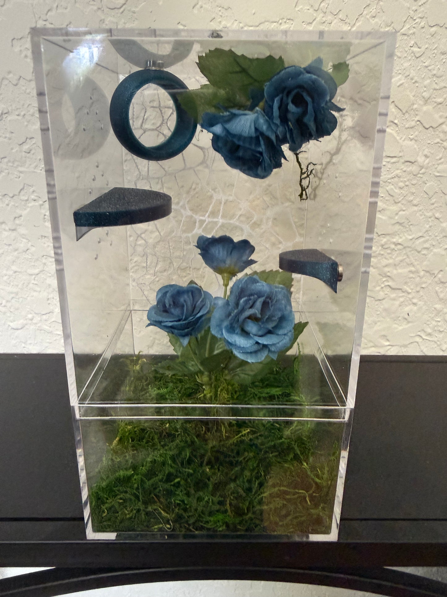 Spider Enclosure with Blue Flowers and Background Web