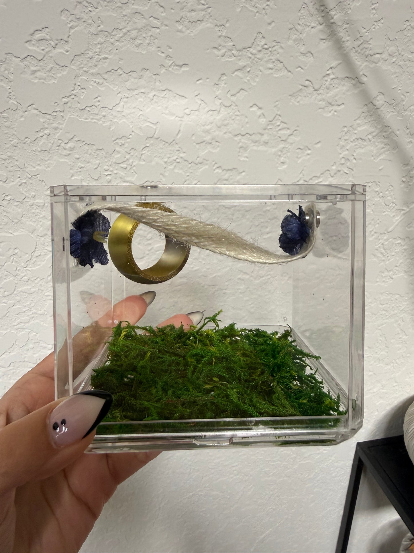 Small Spider Enclosure for Jeanine