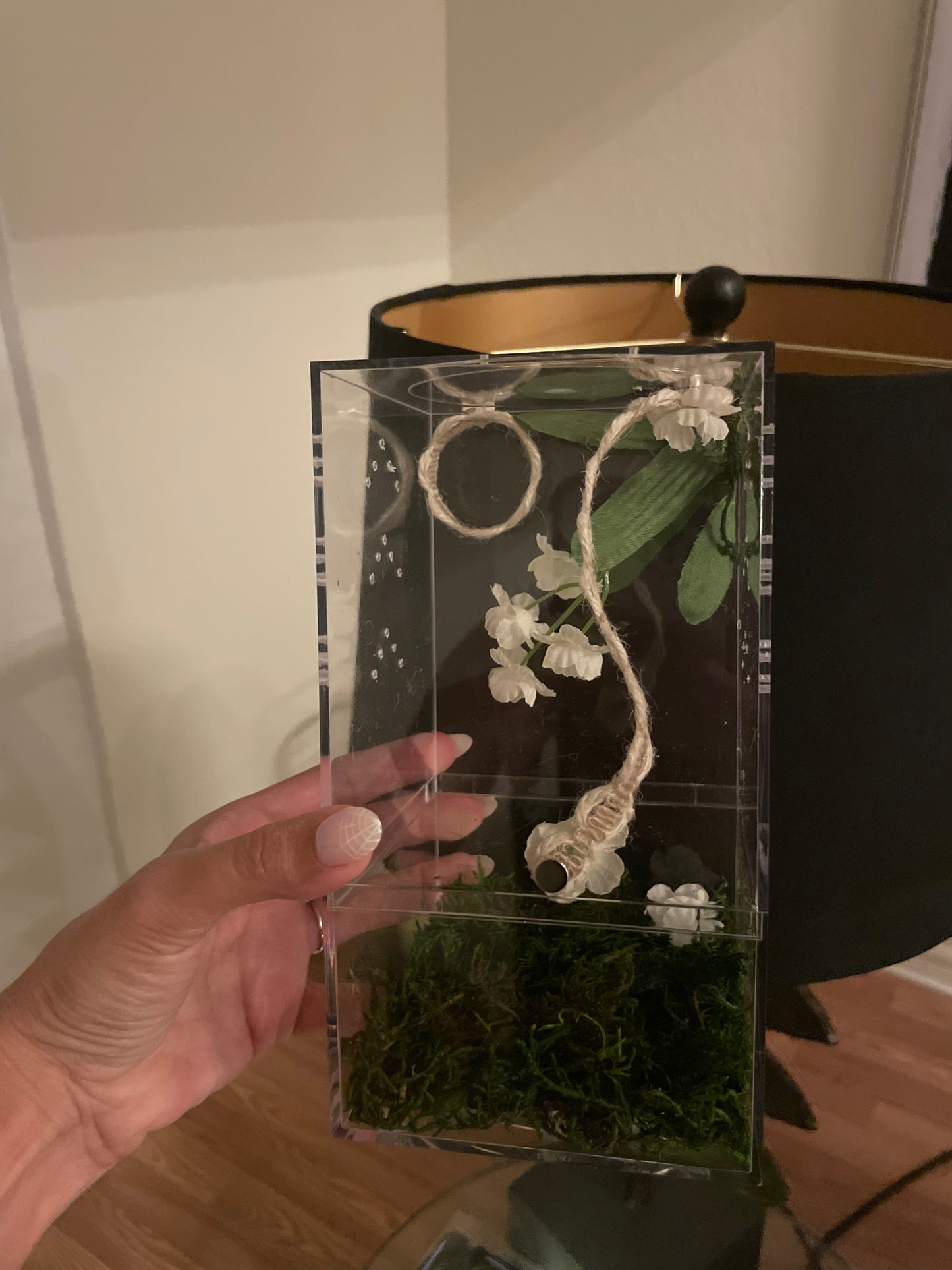 Spider Enclosures